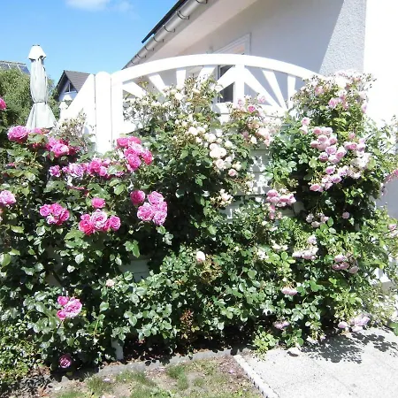 Lilly & Fine Apartment Zingst Exterior photo