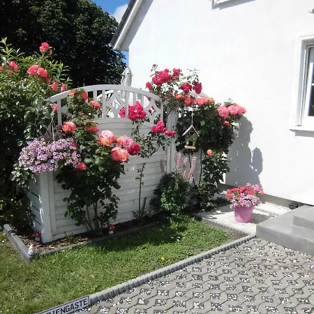 Lilly & Fine Apartment Zingst Exterior photo